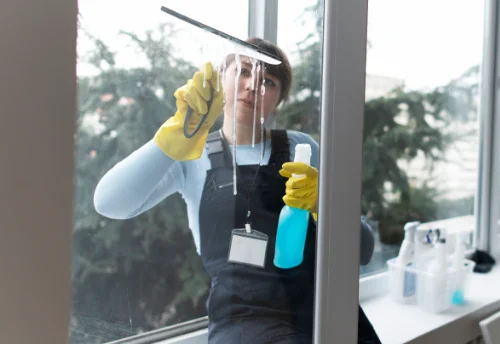 Nettoyage de vitres intérieures et extérieures à Saint-Nicolas-du-Pélem